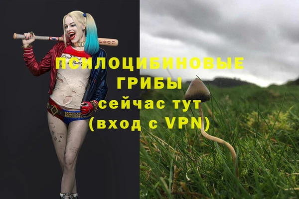 соль ск Алексеевка