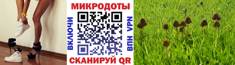 blacksprut как войти  Туймазы  Галлюциногенные грибы Psilocybe 